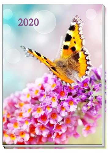 Taschenkalender Schmetterling 2020: A7, Eine Woche auf zwei Seiten, 7 x 10 cm
