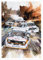 MINSEOK Auto-Plakat Aquarell Raumdekoration Premium A2 Kunstdruck Autodruck Bilder perfekte Dynamische Rallye-Sportwagen