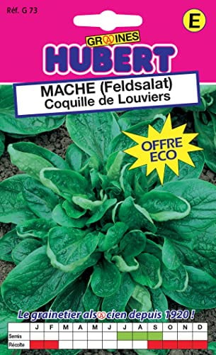 Graines de Mâche Coquille de Louviers - 12 grammes