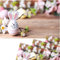 matches21 Frühlingshafte Tischsets Platzsets Motiv abwaschbar Osterhase Kirschblüten Holzbrett bunt 4er 43,5x28,5 cm
