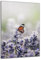 DARO Design - Wand-Bild auf 6mm HDF 70x50 cm Schmetterling Lavendel - Wand-Deko Bilder Geschenk