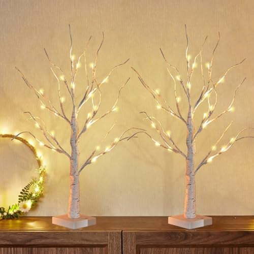 2er Set LED Baum Lichter Warmweiß, 60cm/2ft Birke LED Lichterbaum Innen mit 24 LEDs Licht, USB/Batteriebetrieben Leuchtbaum, Verstellbare Äste Innen Birkenbaum für Weihnachten Ostern Party Innendeko