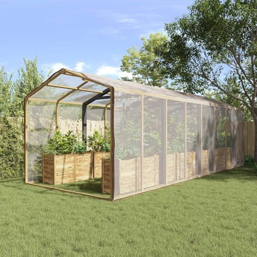 Kaloriko Cubierta transparente para plantas, 6 x 12 m, lona de polietileno con ojales reforzados, material impermeable para jardín, bancal y césped, ideal como protección de invierno, lámina de