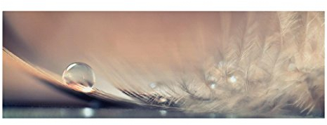 Bilderwelten Leinwandbild - Story of a Waterdrop - Panorama Quer, 40cm x 120cm