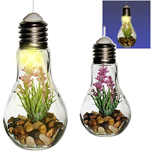 2 Stück LICHT Dekogläser - Glas Glühbirnen - Lichterketten - je LED - Blumen & Blüten - Lavendel lila - zum Hängen/Aufhängen - 68 cm groß - Pflanzen - Lic..