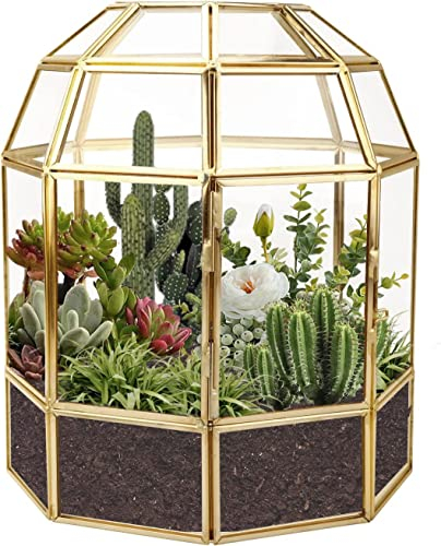 Homtone Maceta grande de terrario geométrica de 18 cm, caja de vidrio hecha a mano en forma de casa, maceta de mesa vintage en miniatura para suculentas, cactus, plantas de aire (forma de jaula de
