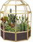 Homtone Fioriera da terrario geometrica grande, scatola di vetro nera fatta a mano, vaso da fiori vintage in miniatura da tavolo per piante grasse, cactus, piante aeree (a forma di gabbia dorata)