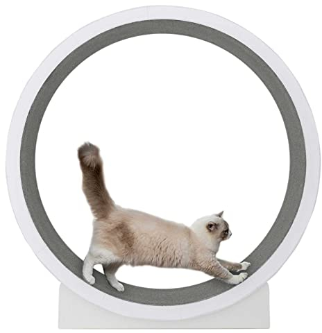 Katzenrad-Trainingsgerät für Hauskatzen, Fitnessgerät zur Gewichtsreduktion, geräuschlose Rollen, natürliche Holzfarbe