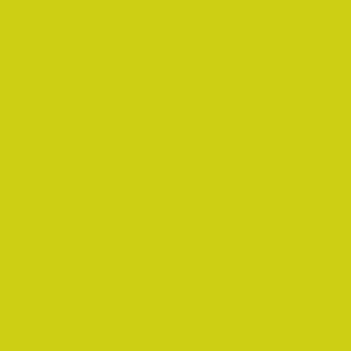 500 Duni Bio Tissue-Servietten 33 x 33 cm Kiwi 3-lagig