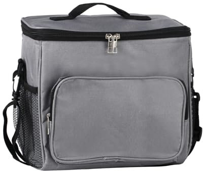 10L Insulated Lunch Cooler, Collapsible Portable Lunch Box Holder for Men/Girls/Kids/Food/Beverage/Picnic/Beach/School/Office Work - Black (Grey)