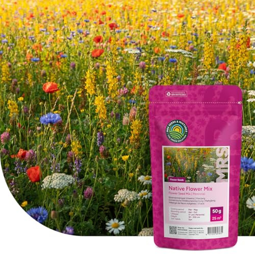 MRS Mélange de Fleurs Indigènes - Graines de Fleurs Vivaces et Annuelles - 1 kg (500 m²) - Favorise la Biodiversité - Attire Papillons, Bourdons et Abeilles
