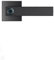 CaScam Fingerprint Biometric TTlock APP Bluetooth Digital Electronic Key Handle Smart Door Lock Wifi Alexa/Google Home