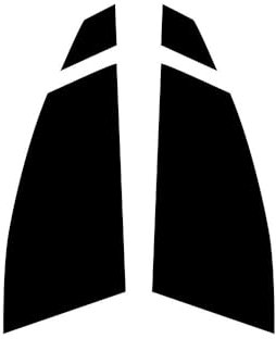 Window-Tint.co.uk Pre Cut Window Tint for Tesla Model X - 2016 and newer - Front Windows 70% Ultra/Ultra Light