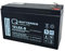 Q-Batteries 12LSX-9 Batterie au Plomb Non tissée 12 V 8,8 Ah AGM 10 Ans
