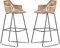 Rattan Barhocker 2er Set, Rattan Barhocker mit Rückenlehne & Metall Fußstütze Korbstuhl für Theke Gartenküche
