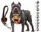 SLZZ Personalisiertes Hundegeschirr gegen Ziehen mit Leine mit Namen Telefonnummer, robust, reflektierend, weich gepolstert, mit einfachem Griff für kleine mittelgroße und große Hunde