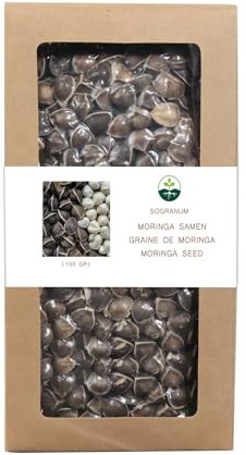 Graine moringa 100g | 3x plus de vitamines que les gélules et feuilles | Plante aux 1000 vertus | A consommer cru, tisane ou Thé Moringa