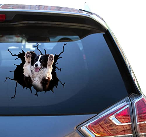 Autocollant pour fenêtre de voiture Border Collie Noir Transparent SUV Sticers pour enfants Cool Vynil