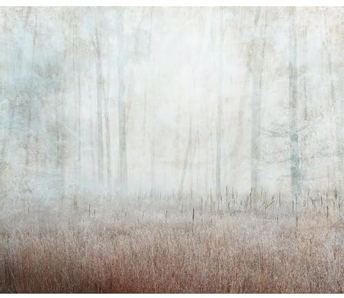 murando Fototapete Premium-Vlies Landschaft 350x256cm Foto Tapete Schlafzimmer Wohnzimmer Vliestapete XXL Wandtapete Motivtapeten Bildtapete 3d Effekt Wand Dekoration Flur Wald Bäume Natur wie gemalt