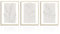 NymphFable Dazzlewall Abstrakte Botanische Wandbilder Minimalistische Blumen Linie Leinwand Bilder für Schlafzimmer Wohnzimmer Deko 30x40 cm 3er Set Ohne Rahmen