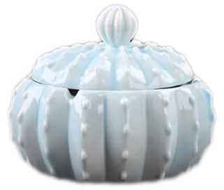 Keramik-Aschenbecher mit Deckel, kreativer Kaktus-Kugel-Kunst-Büro-Auto-Aschenbecher, Geburtstagsgeschenk, Kunsthandwerk, Heimdekoration, Ornamente/771(Color:Light blue)
