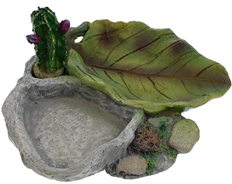 BESTonZON Schildkröten Wassernapf Reptilien Futterspender Aus Kunststoff Großzügig Transparent Futter Und Trinkschale Für Terrarien Geeignet Für Kleine Kriechtiere Und Reptilien