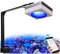 PopBloom RL90 WiFi Led Aquarium Beleuchtung Smart-APP Control Meerwasser Aquarium led volles Spectrum Aquarium Lampe mit Timer für Reef Coral SPS/LPS Fischaquarium (1 Lampe mit Armhalterung)