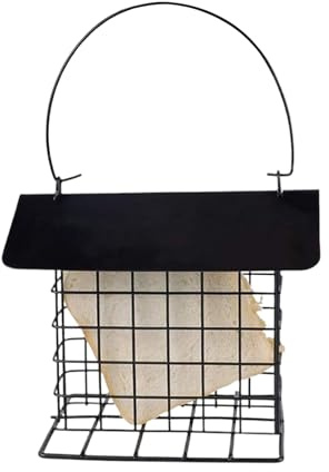 Mangiatoia per Picchi - Stazione di Alimentazione Resistente agli Scoiattoli e alle Intemperie,Mangiatoia Per Uccelli Selvatici,Per Balcone Giardino Cortile Patio Area Esterna Giardino