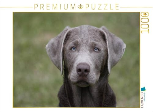 CALVENDO Puzzle Labrador-Welpe | 1000 Teile Lege-Größe 64 x 48 cm Foto-Puzzle für glückliche Stunden