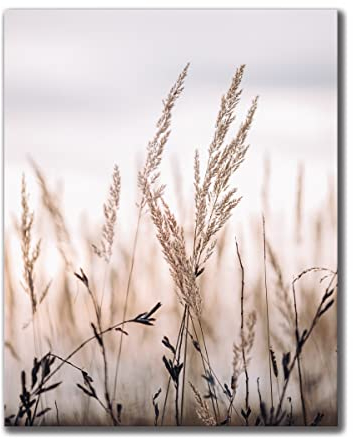 Leinwandbild Grasses I 40 x 50 cm | Bild auf Leinwand im Hochformat in sanften monochromen Farben | Gras Feld Wiese Natur Blumen Trockenblumen | Wohnzimmer Schlafzimmer Flur | Deko Home Einrichtung