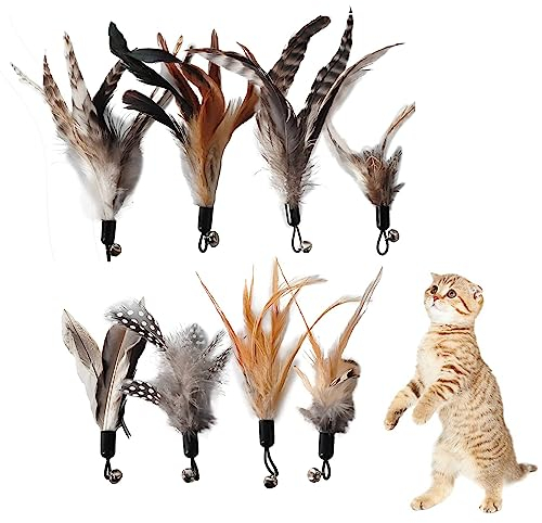 Kireida® Lot de 8 plumes de rechange pour chat - Sans colorants chimiques - Avec recharges pour plumes naturelles de chat
