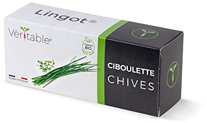 Véritable Lingot® Cebollino Bio - Compatible con Huerto di Interior Exky® - Recarga Lista para Usar - Sustrato con Semillas integradas