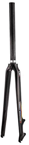 HIOD Fahrrad Gabel Fahrrad Gabeln Carbon Gabel Rennrad Gabel Scheibenbremse Carbon Gabel für 700C Radsatz