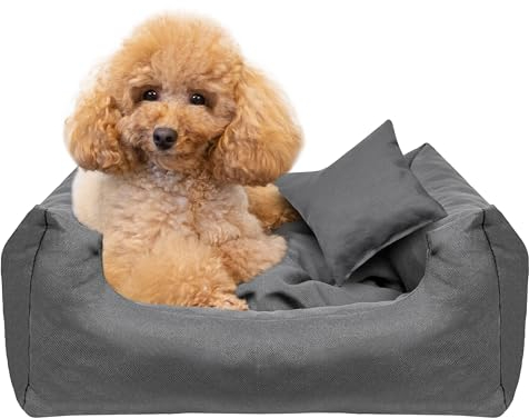 Creative Pets Hundebett 55x45x19 cm | grau | Hundekorb Katzenbett | Bett mit Kissen | Hundesofa | weich bequem | Schlafplätze Möbel für kleine und mittelgroße Hunde