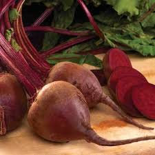 Rübensamen: Chioggia Rübensamen frische Samen !!!! (250+ Samen)
