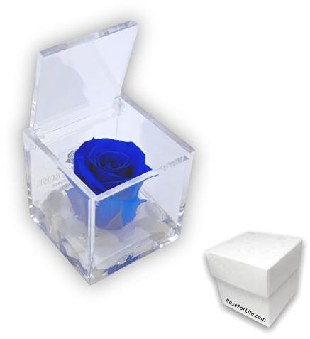 PREMIUM ROSE - Cubo Rosa Stabilizzata Blu 6 cm con Marmo di Carrara - Rosa Eterna Stabilizzata Made in Italy - Idea per Bomboniere, Lauree e Battesimi - Blu 1061