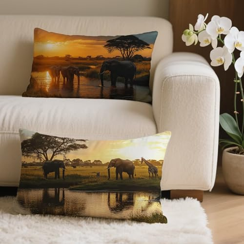 Kissenbezug 40x60 2er Set Afrika Outdoor Kissen Rechteckig, Outdoor Wetterfest Kissenbezüge mit Unsichtbarem Reißverschluss, Samt Sofakissen Elefant Kopfkissenbezug für Deko Wohnzimmer Garten Q-2237