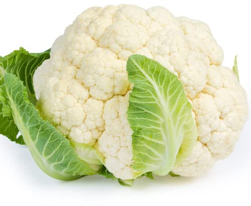 Vegetable Plants - Mixed Multi-Pack Bundle - Cabbages + Cauliflowers + Broccoli + Spinach - 24 x Plug Plant Pack - Vegetable Plug Plants - Garden Ready + Ready to Plant - Premium Quality Veg