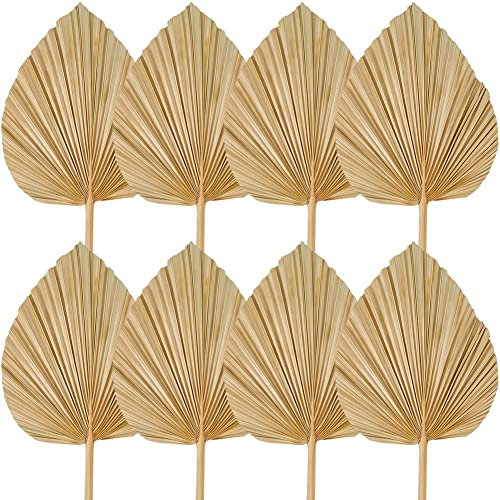 OWLEEN 8 piezas de hojas de palma secas, decoración recortada, , abanicos tropicales, secas, de boda, decoración de boda boho