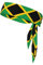 Flag of Jamaica Ultimate Performance Schweißabsorbierendes Bandana-Stirnband für Outdoor-Sportarten – Unisex-Design, weicher und atmungsaktiver Stoff