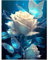 XUIIOSOOKP Diamond Painting Erwachsene, 5D Diamond Painting, DIY Diamant Painting Bilder, weiße Rose Diamant Malerei Stickerei Set für Zuhause Wanddekorationen - 30x40cm/weiße Rose