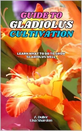 Guide to Gladiolus Cultivation: Learn what to do to grow Gladiolus well