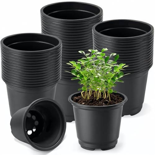 xiaowanwan 100 Pièces Pot Semis 10cm,Pot de Culture Plastique,Pots de Fleurs,Pot de Repiquage pour Intérieure et Extérieure (Noir)