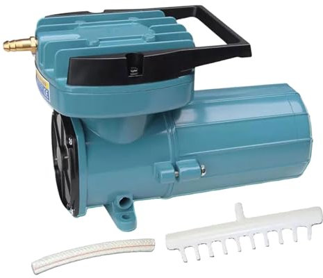 LOVIVER Bomba de Aire para Acuario Bomba de Aire DC 12V,Bomba de Aire para pecera de Metal para Estanque al Aire Libre, 12V 100W, 240x121x160mm
