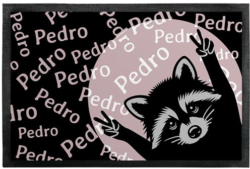 True Statements Deko-Fußmatte „Pedro Pedro Pedro Waschbär“ - Dancing Raccoon Meme - berühmter Tanzender Waschbär für Gute Laune als Geschenk - für Innen & Außen – rutschfest, 60 x 40 cm