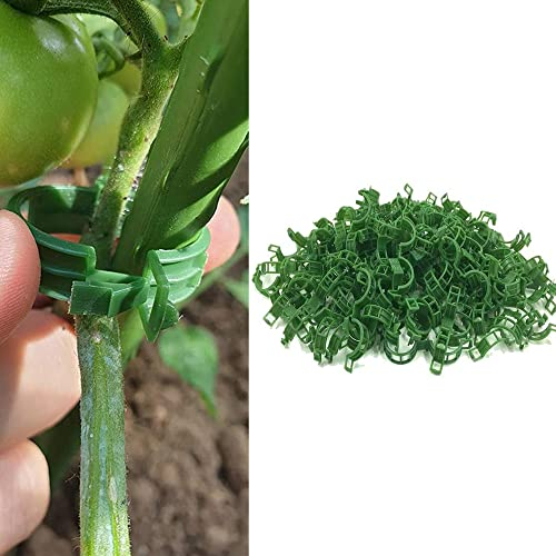 200 Stück Pflanze Clips Kunststoff Tomatenringe Tomatenclips Pflanzenclips Pflanzenklammern Rebe Clips Pflanzenklammern Gurkenclips Rankhilfe für Gemüse Tomate Pflanze Unterstützung Reben - Grün