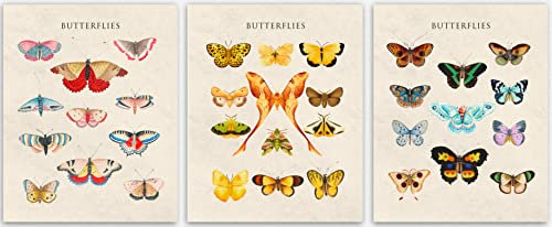 Botanical Wanddeko & SchmetterlingBilder Set of 3 Ivory Bathroom Wall Decor - Butterfly Room Decor Aesthetic Room Décor/Colorful Living Room Decor, Office Decor deko aesthetic (30cm x 40cm)