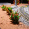 SPORTARC Miniatur-Pflanzen aus Kunststoff, rot-grüne Sträucher, 3 cm hoch, künstliche Grünlandschaft, Landschaft für Baumodelle, 10 Stück