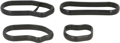 Elring 582.190 Dichtungssatz, Ölkühler (1 Stk.) für BMW