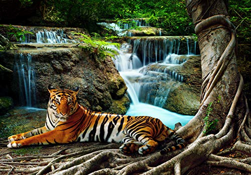 wandmotiv24 Fototapete liegender Tiger Dschungel, XL 350 x 245 cm - 7 Teile, Wanddeko, Wandbild, Wandtapete, Wasserfall Wald Wasser Baum Tier M6537